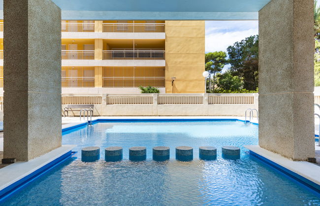 Hortensia - Primera Linea - Foto 18