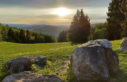 Ferienhaus Am Kirchberg - Foto 9