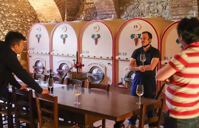 Visita a una cantina di Pozzolengo - Foto 7
