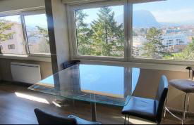 T2 vue Salève - Foto 1