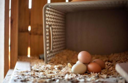 Hobbit Treehouse with Waterfall on the Brazos River for Glamping in Texas - Foto 36