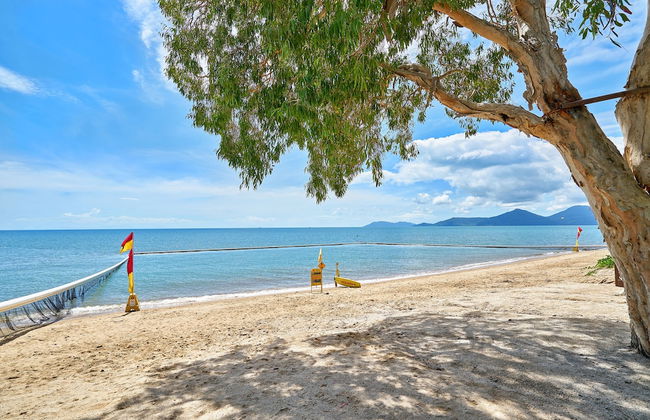 Tropical Oasis near Beach - Photo 1