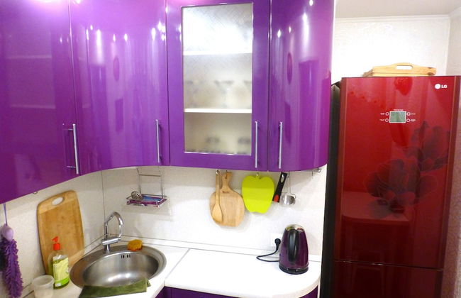 Apartments on Tolstogo 1 - Photo 36