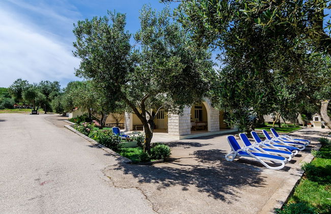 Apartments Glavor - Foto 50