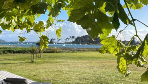 Villa Mamina, face à la mer, île Grande - Foto 5, Garden, Garden view