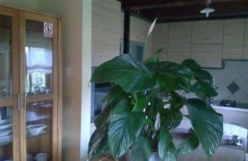 Kuća Za Odmor Barbara - Photo 34