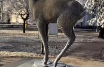 Noclegi "LAS WYPAS" Trzcianka - Foto 48