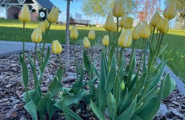 Pogodna Zagroda-Dom na Kaszubach & Strefa Spa - Foto 66