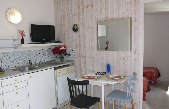 Roses Tremières - Foto 4