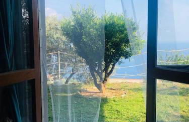 Sea South front property1/2acre.Gardens pool hydro - Foto 45