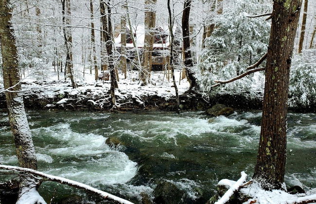 Elk Run On Cosby Creek - 2 Bedrooms, 2 Baths, Sleeps 7 Cabin by RedAwning - Foto 40