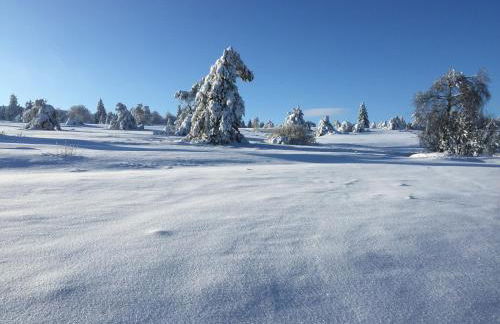 Fachwerkliebe Villa Mia - Foto 44