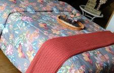 Sitio Lar da Terra - Foto 33