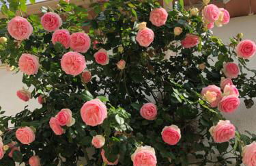 Villa l'art de fer - Foto 38