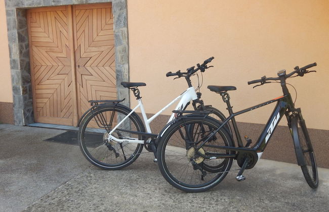 Vineyard cottage Ucman - Foto 7