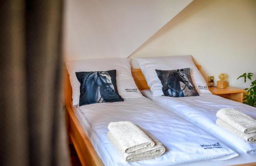 Domki Wiśta Wio - Foto 59