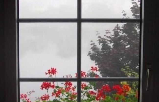 Mosel Panorama - Foto 55