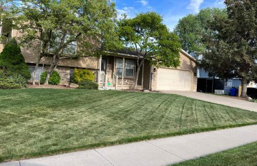 Betty's Place II - Photo 1