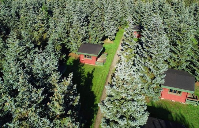 Amazing Holiday Home With Terrace - Photo 26