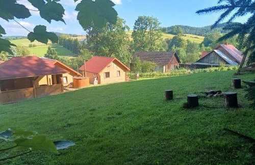 BIESZCZADZKA Antosiówka - Foto 3