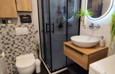 Ortopla Terrace Apartment Stinica - Photo 11