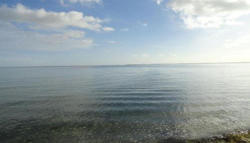 Lütte Höög - Foto 3