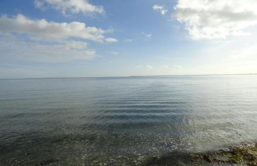 Lütte Höög - Foto 3