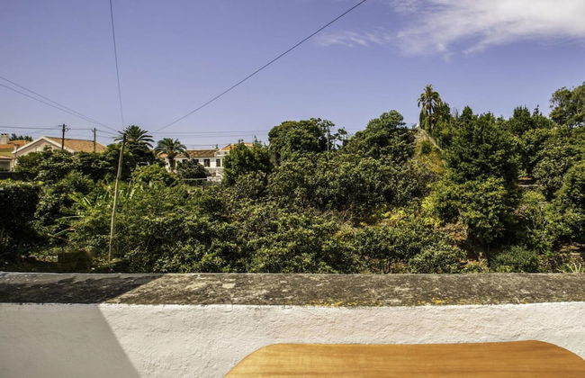 Quinta de S o Carlos - Photo 28