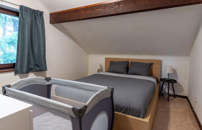 Typical Ardennes Chalet With hot tub - Foto 8