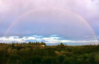 ANEMOMYLOS Lefkimmi LUXUS SUITES-BOUTIQUE HOTEL & POOL - Foto 30