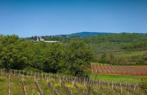 Traumhafte Finca mit Privatpool und Panoramablick - Foto 33