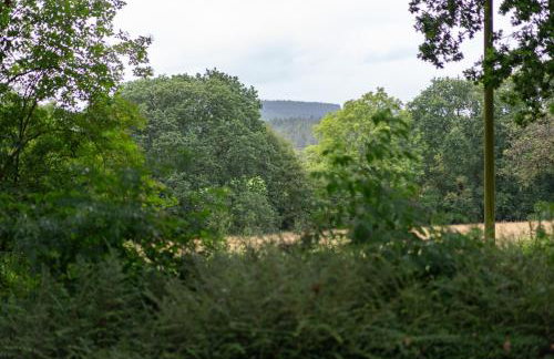 The Hayloft - Foto 4