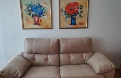 APARTAMENTO "PASEO DEL SAÚCO" - Photo 16