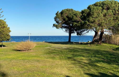 Residence Santa Lucia, studio avec piscine , vue mer et pied dans l'eau , Moriani-Plage - Foto 17