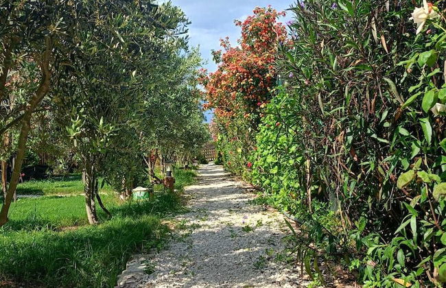 Riviera Bungalow Evleri Demre - Photo 74