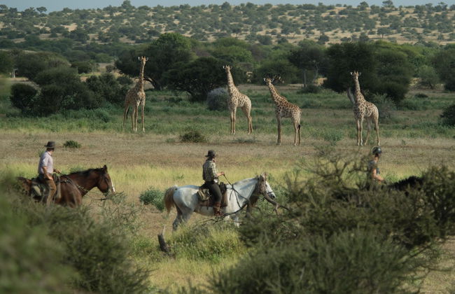 Shalimpo Safari Home - Mashatu Game Reserve - Foto 11