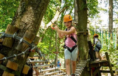 Cosy apartment on Strasbourg tramway line - Foto 30