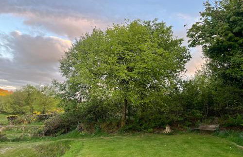 Tranquil 1 bedroom cottage 15 mins drive to sea - Foto 23