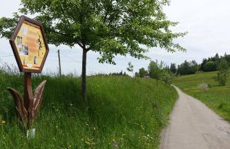 Ferienwohnung Schwarzwaldgrün - Foto 29