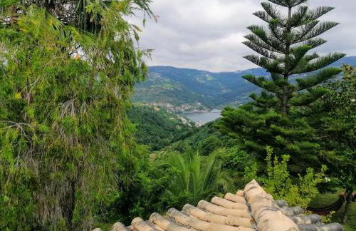Casa Loureiro - Vista Rio Douro - Foto 25