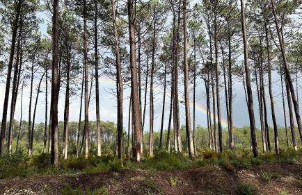 La Casita Nazaré - private pool - Foto 29