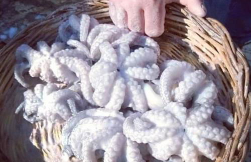 Vacation House a Mola di Bari - Foto 65