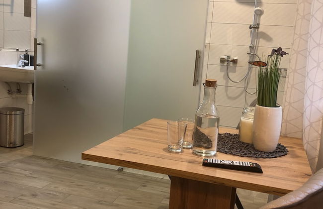 Apartments and wellness center Korošec - Foto 54