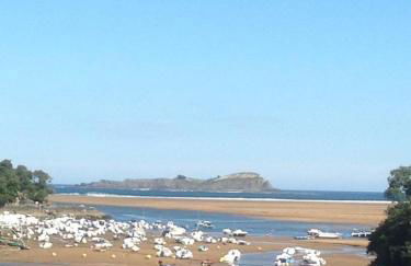 APARTAMENTOs URDAIBAI - Photo 6