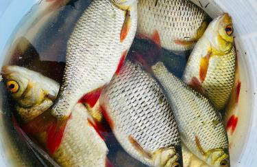 Nini House Giże - Foto 50