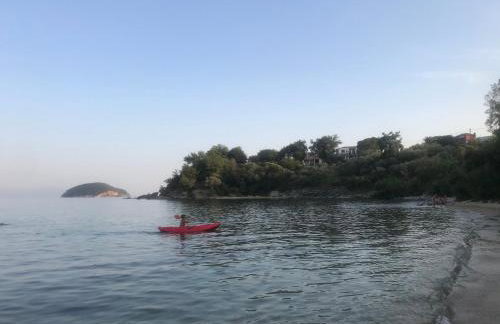 Olivia -Ελιά - Foto 46