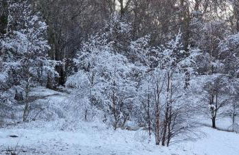 The Shelter Stone Cottage - Foto 45