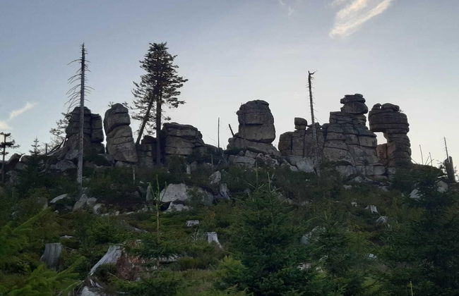 Apartment in Goggersreut mit Terrasse - Foto 21