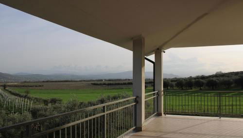 TENUTA FATTORE - Foto 3