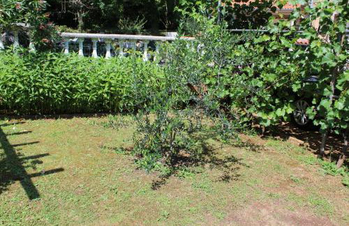 Apartments Seka - Foto 12